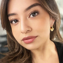 Load image into Gallery viewer, mini disc hoop