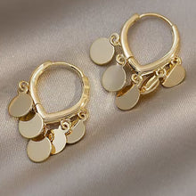 Load image into Gallery viewer, mini disc hoop